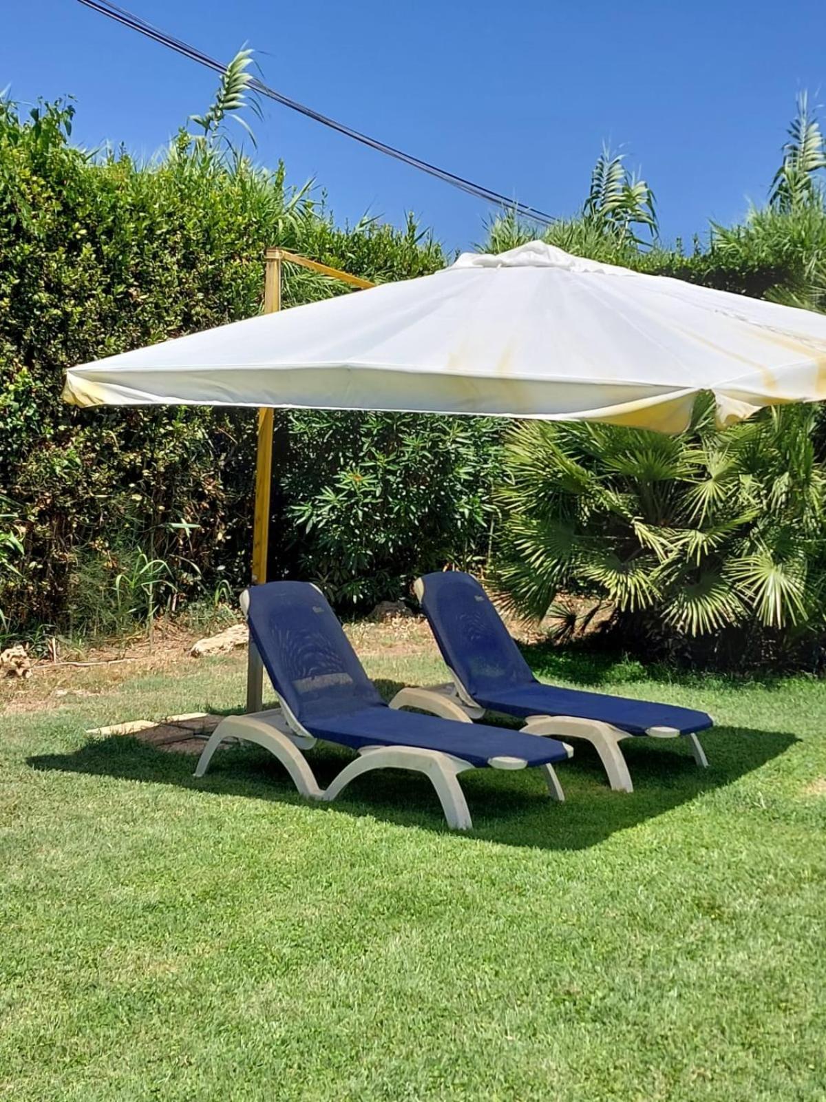 Cozy Studio - Monolocale - Fiumicino Aeroporto E Fiera - Self Check-In Zewnętrze zdjęcie